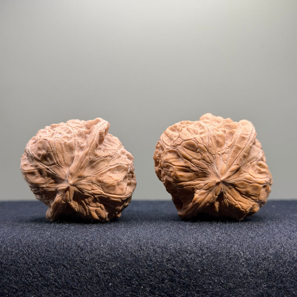 Pumpkin Wenwan Walnut · 40mm · Natural · Entry Ritual