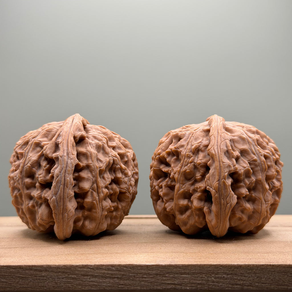 White Lion Head Wenwan Walnut