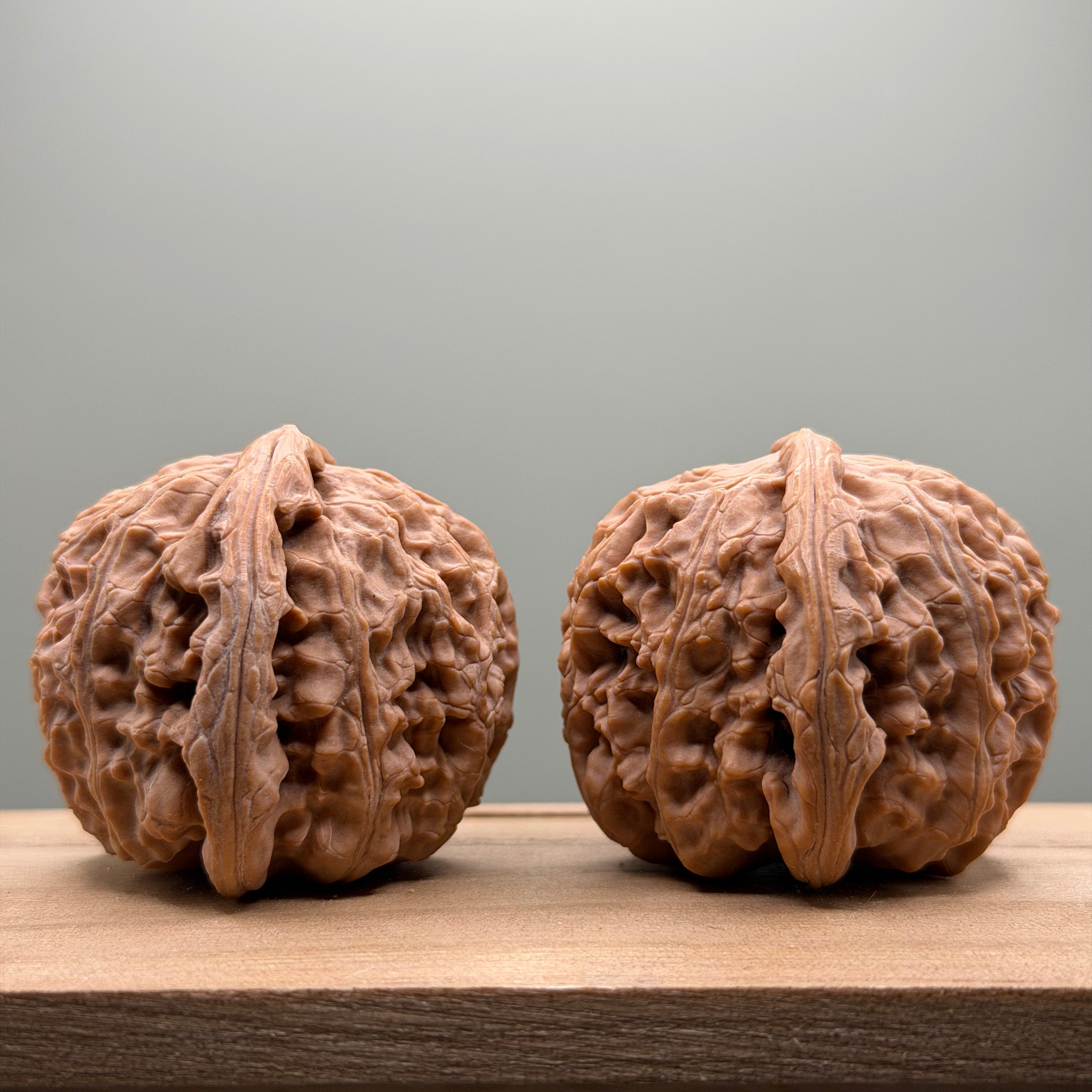 White Lion Head Wenwan Walnut