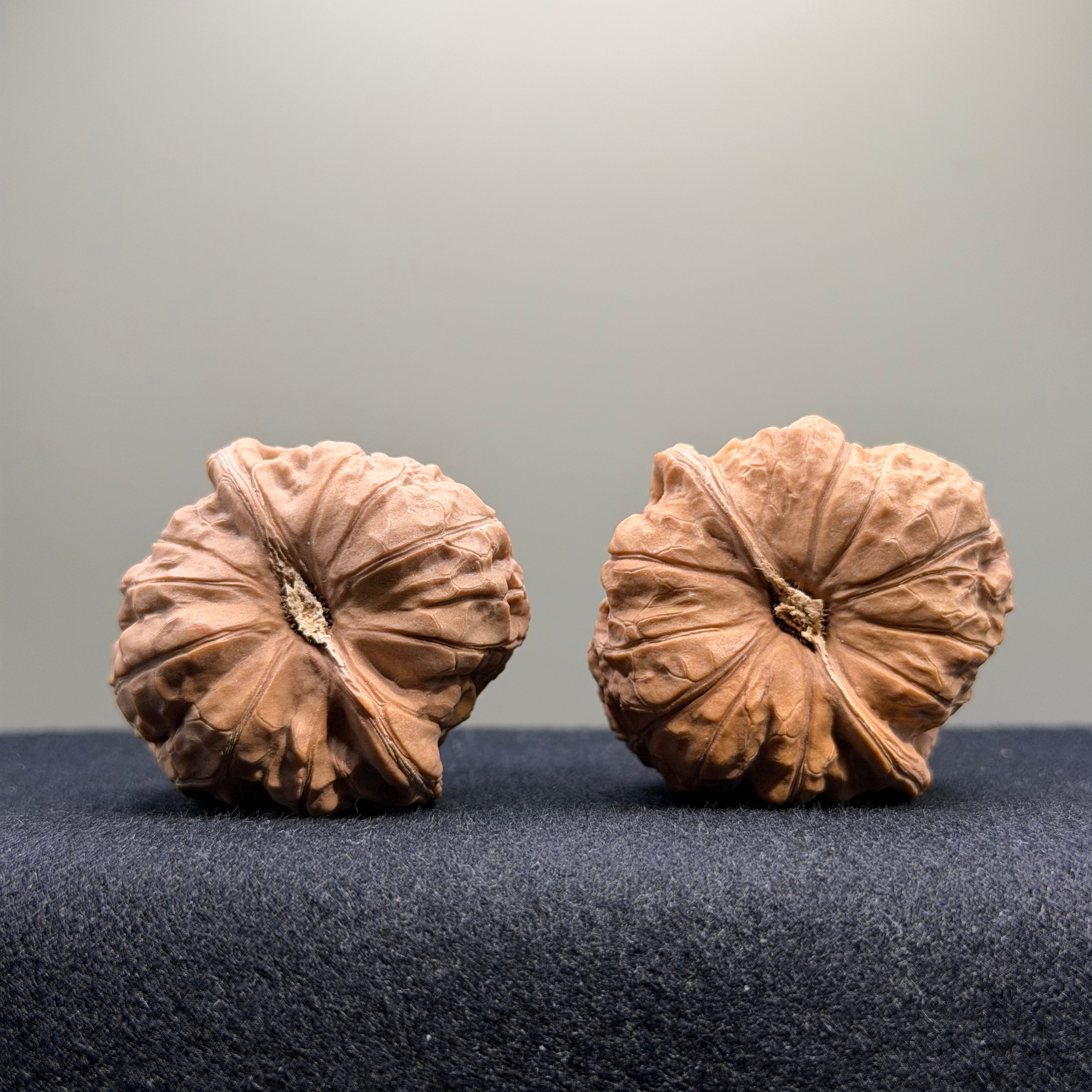 Pumpkin Wenwan Walnut · 40mm · Natural · Entry Ritual