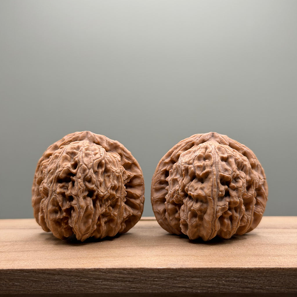 White Lion Head Wenwan Walnut