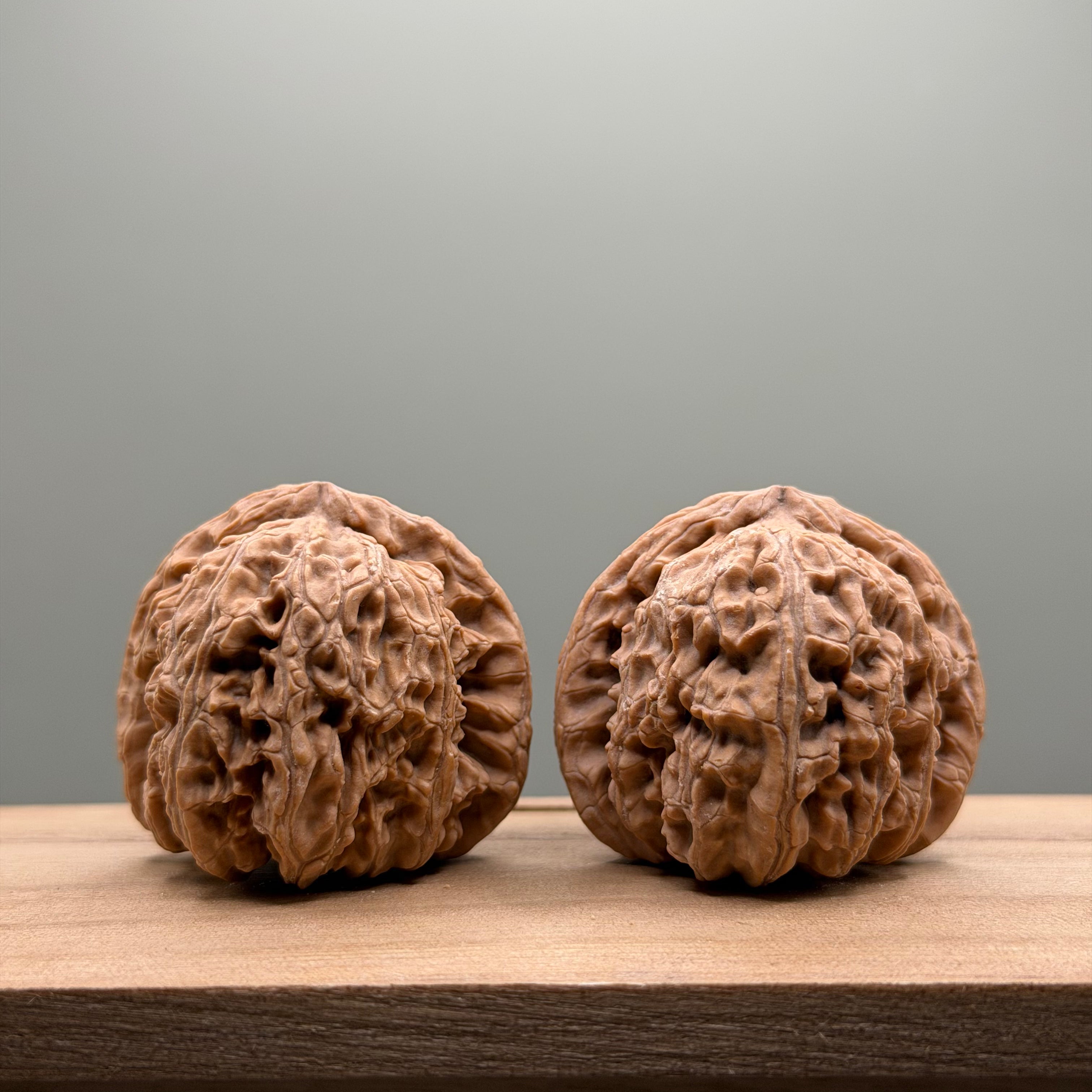 White Lion Head Wenwan Walnut