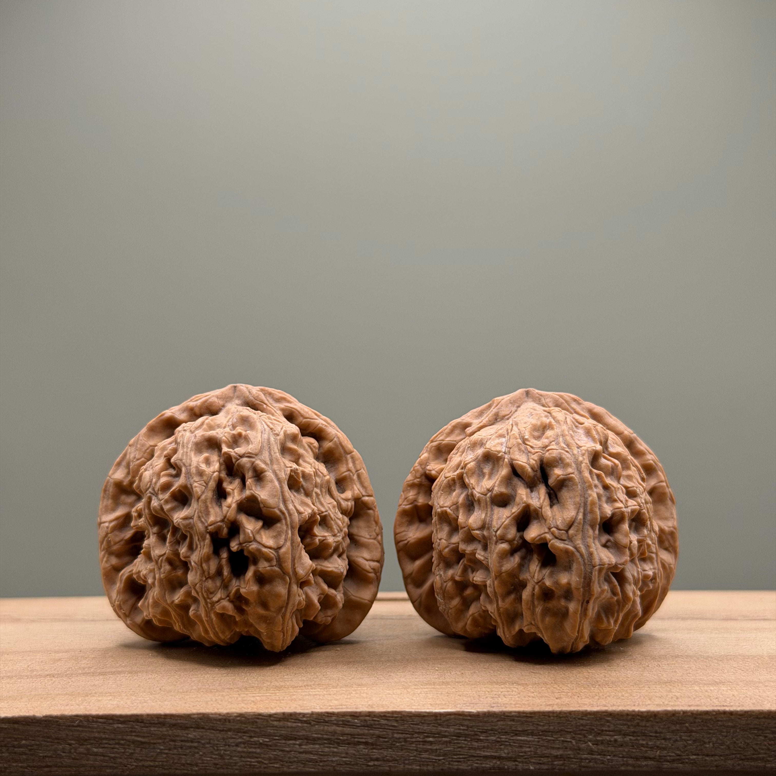 White Lion Head Wenwan Walnut