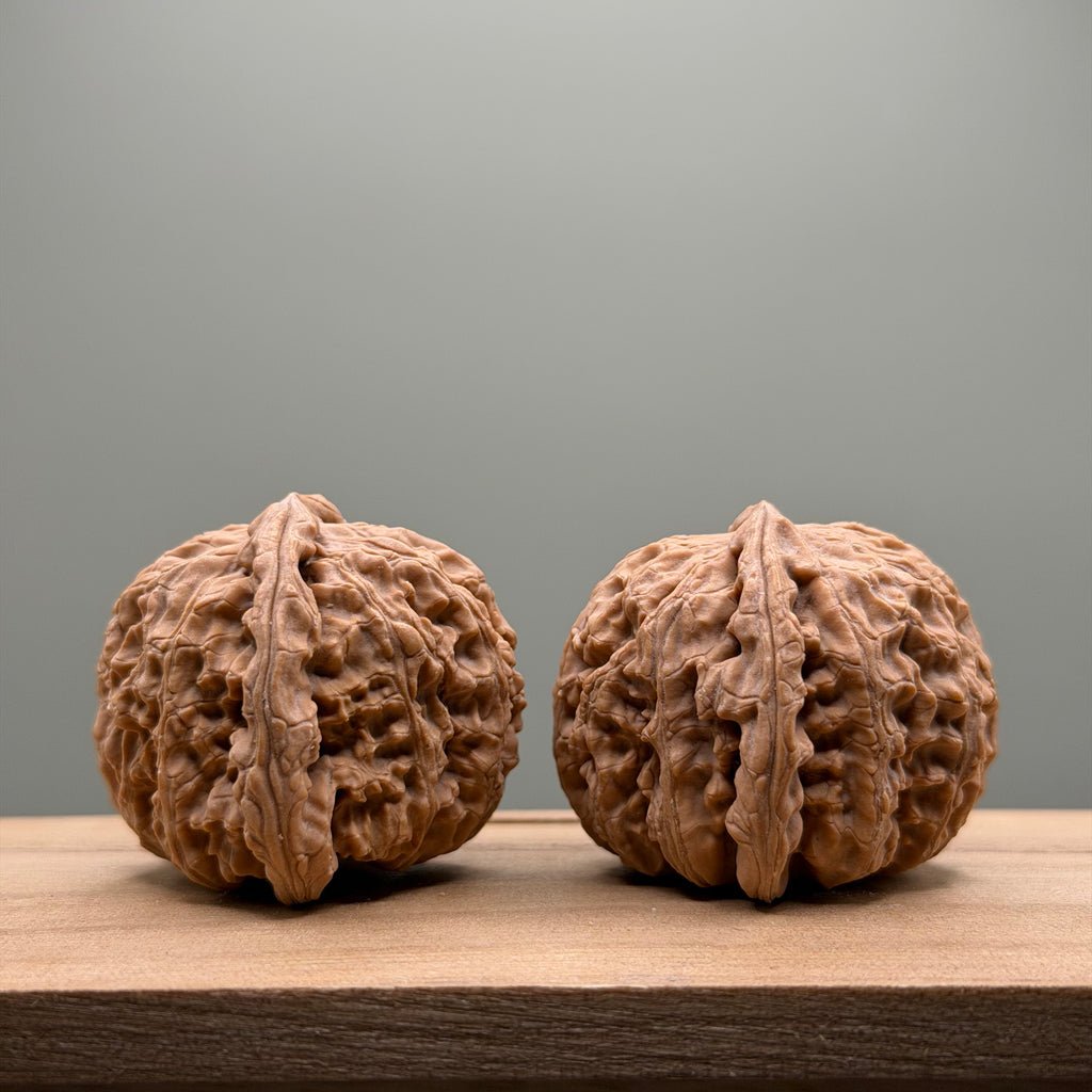 White Lion Head Wenwan Walnut