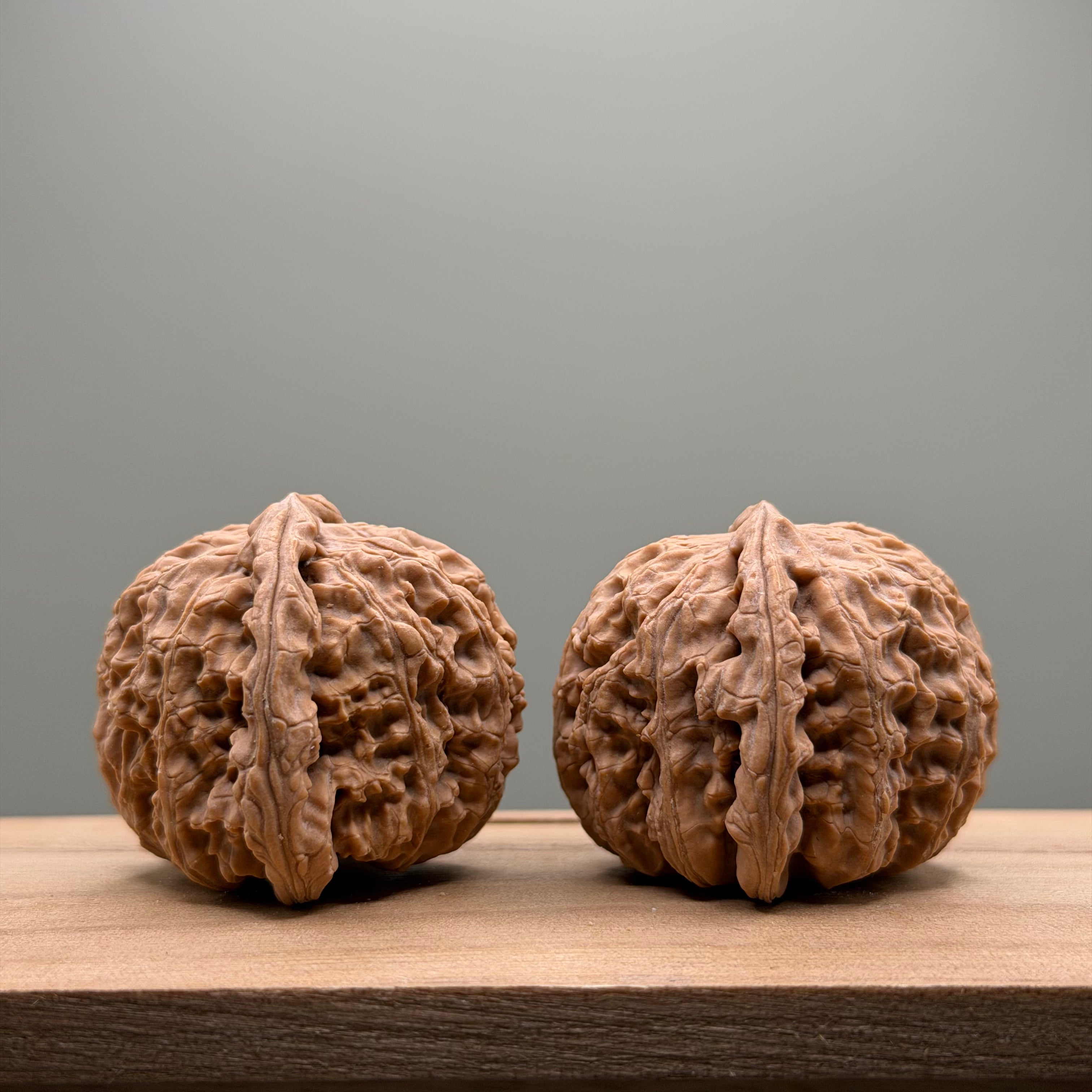 White Lion Head Wenwan Walnut