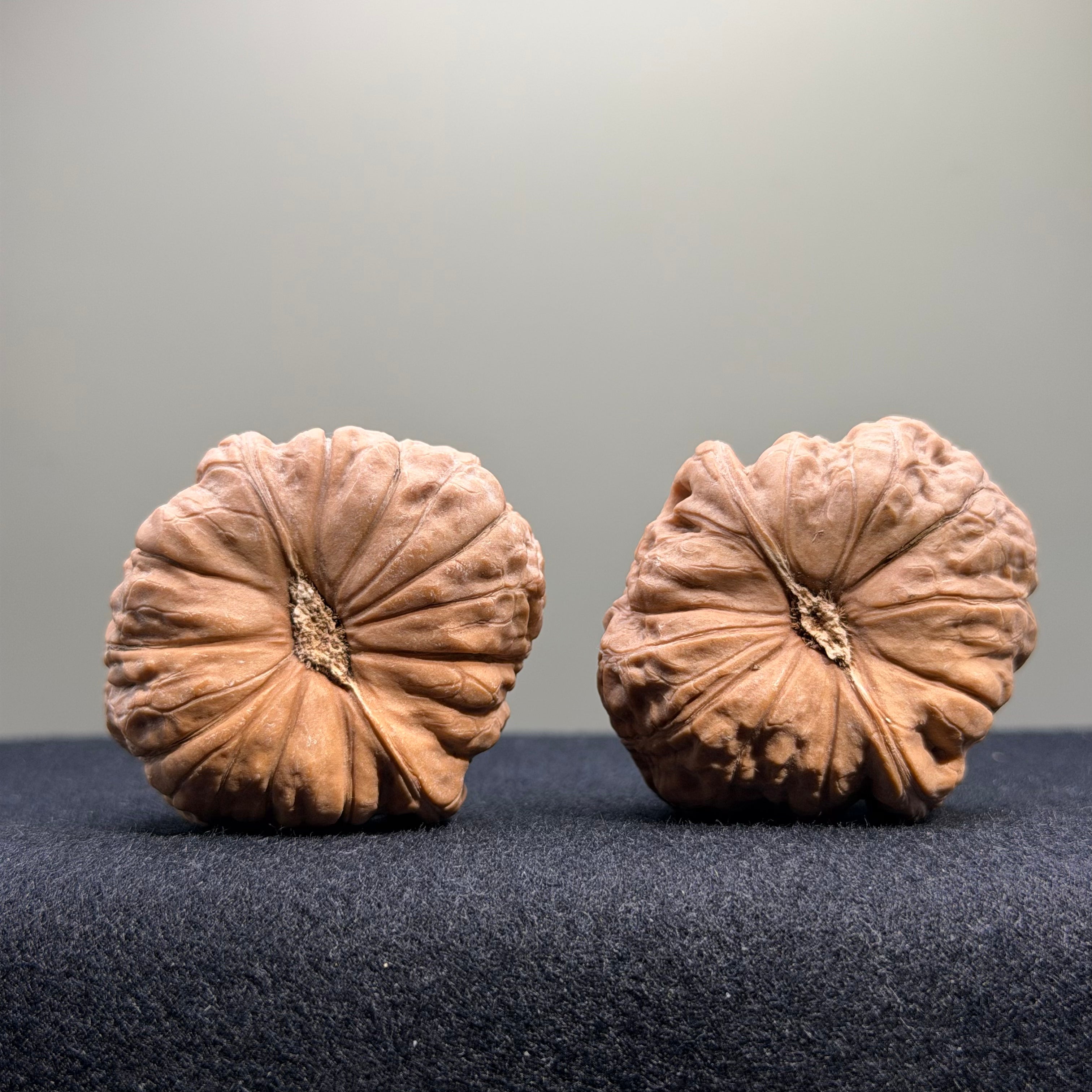 Pumpkin Wenwan Walnut · 40mm · Natural · Entry Ritual