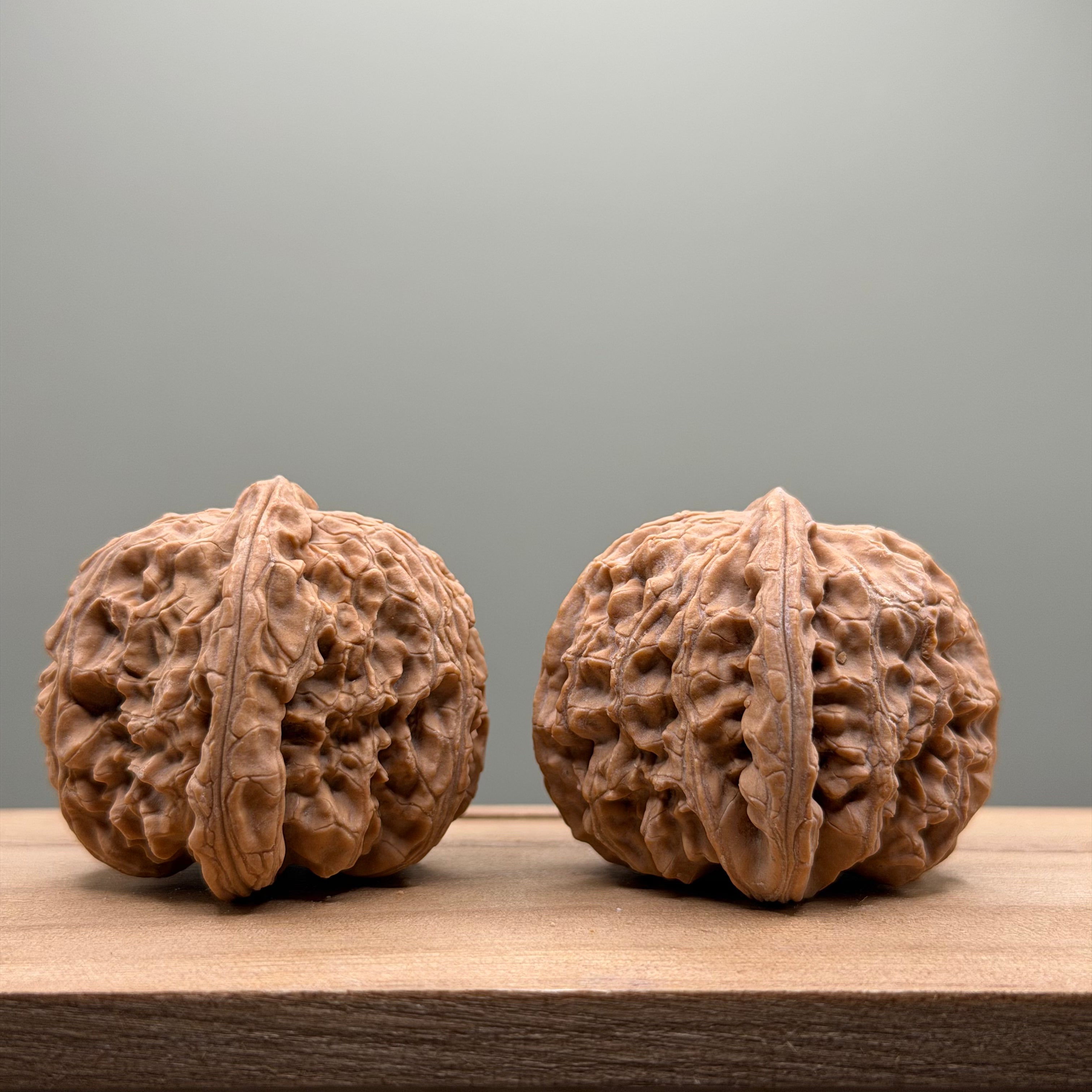 White Lion Head Wenwan Walnut