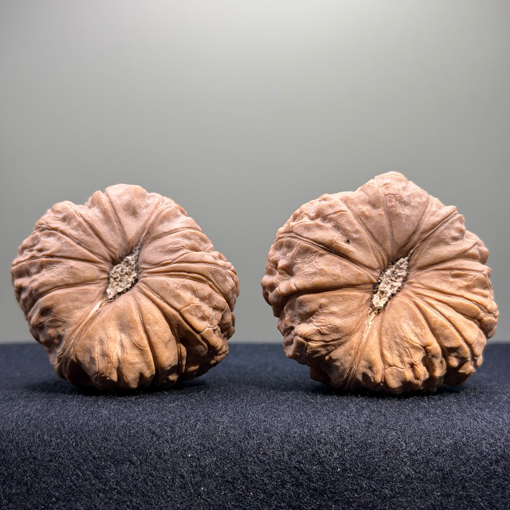 Pumpkin Wenwan Walnut · 45mm · Natural · Select Ritual
