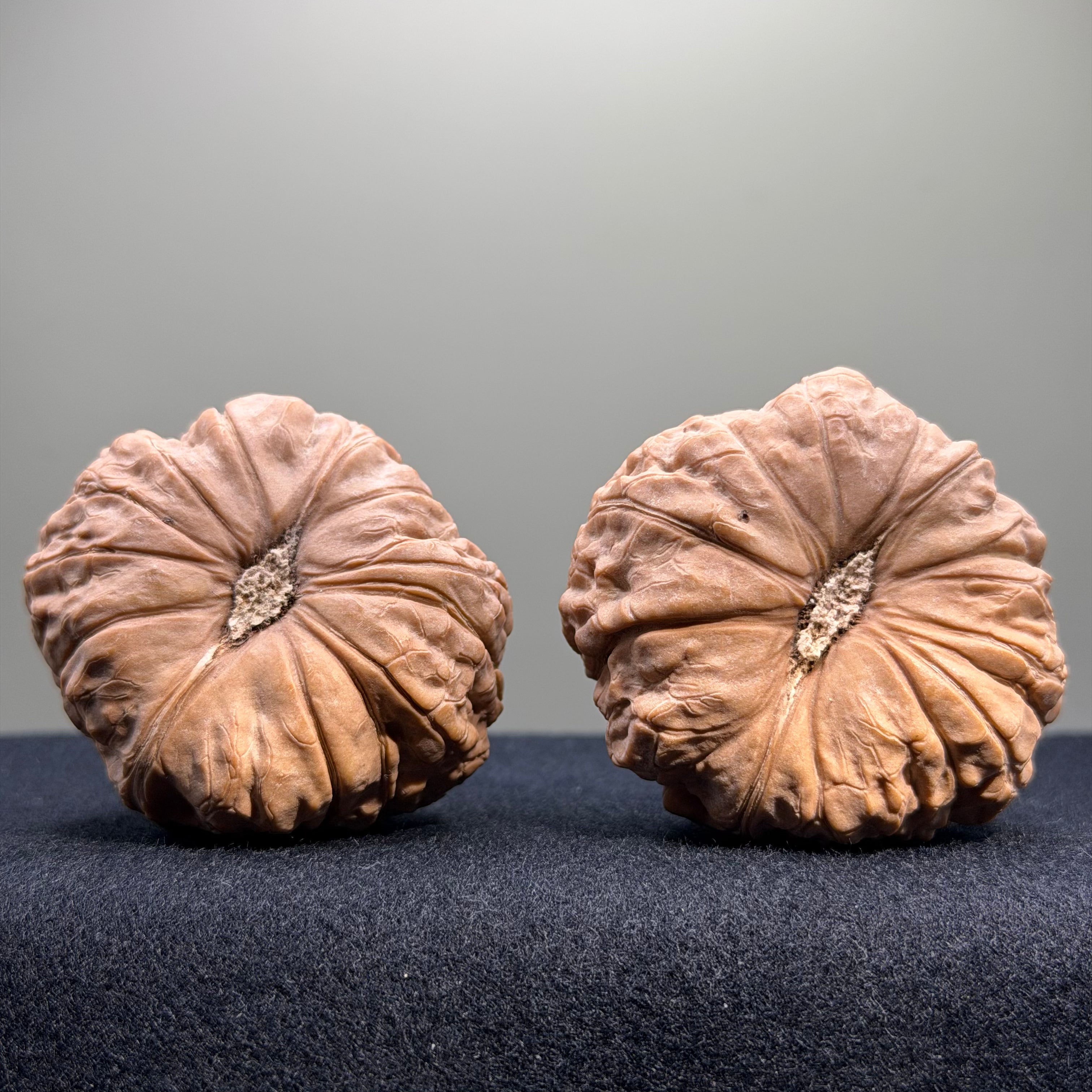 Pumpkin Wenwan Walnut · 45mm · Natural · Select Ritual