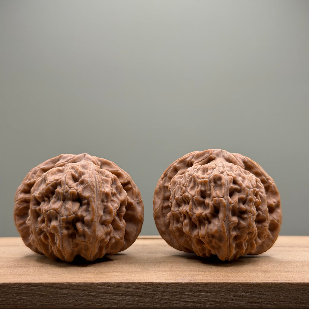 White Lion Head Wenwan Walnut