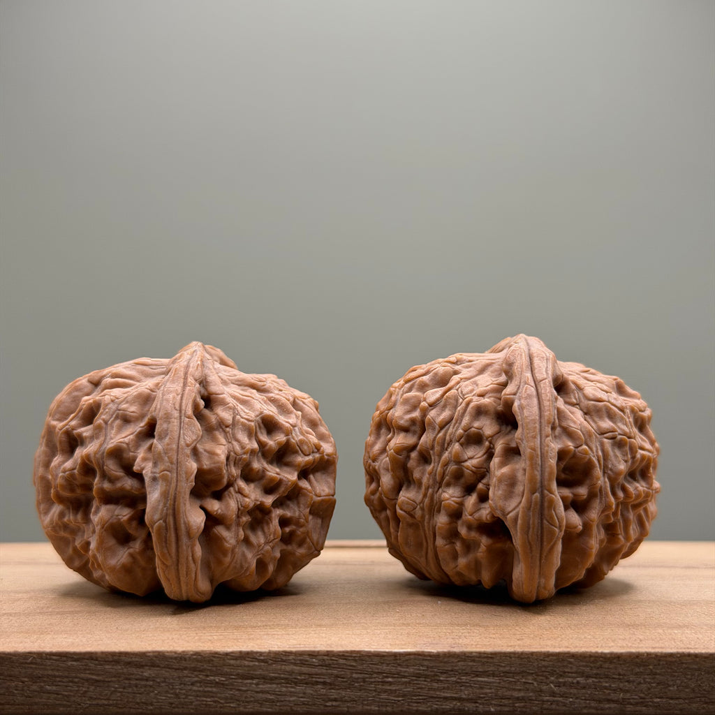White Lion Head Wenwan Walnut