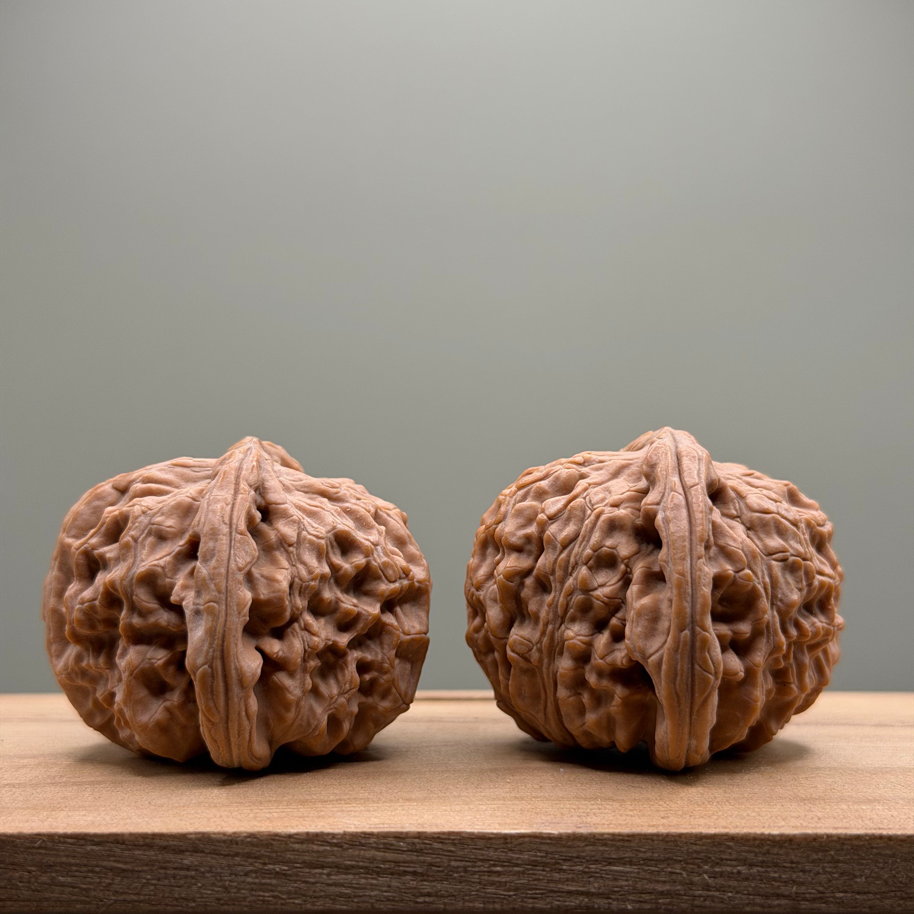 White Lion Head Wenwan Walnut
