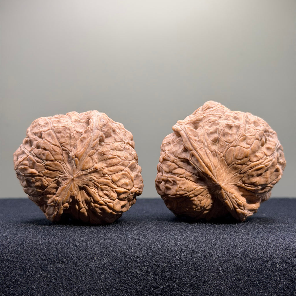 Pumpkin Wenwan Walnut · 45mm · Natural · Select Ritual