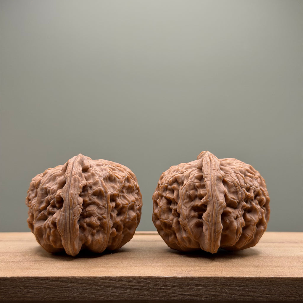 White Lion Head Wenwan Walnut