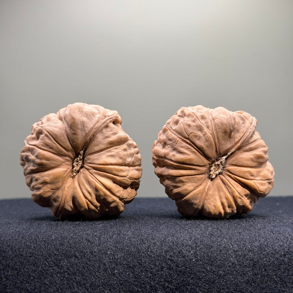 Pumpkin Wenwan Walnut · 45mm · Natural · Select Ritual