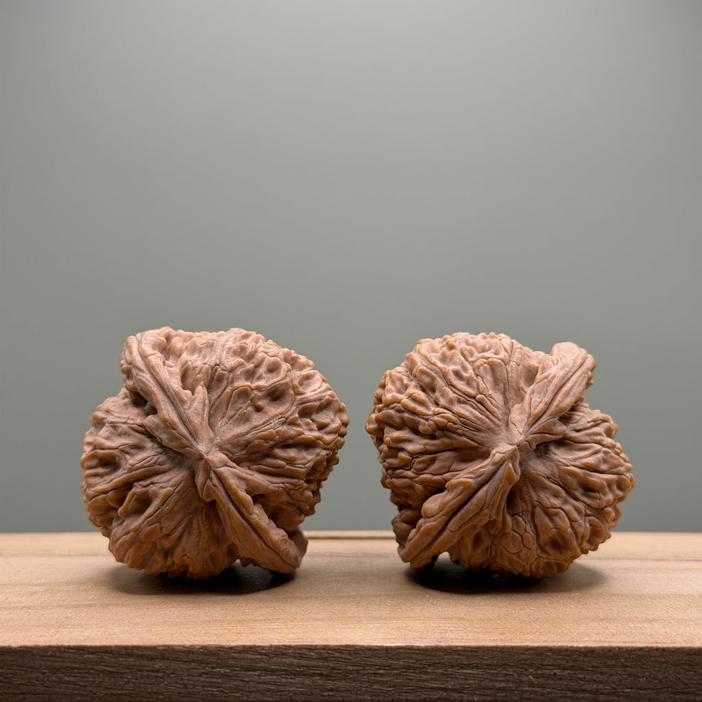 White Lion Head Wenwan Walnut