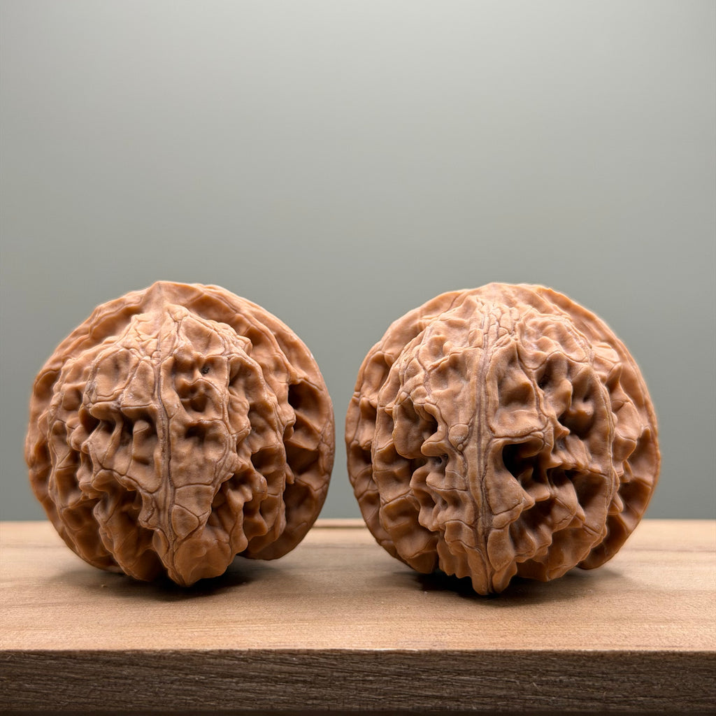 Apple Orchard Lion Head Wenwan Walnut