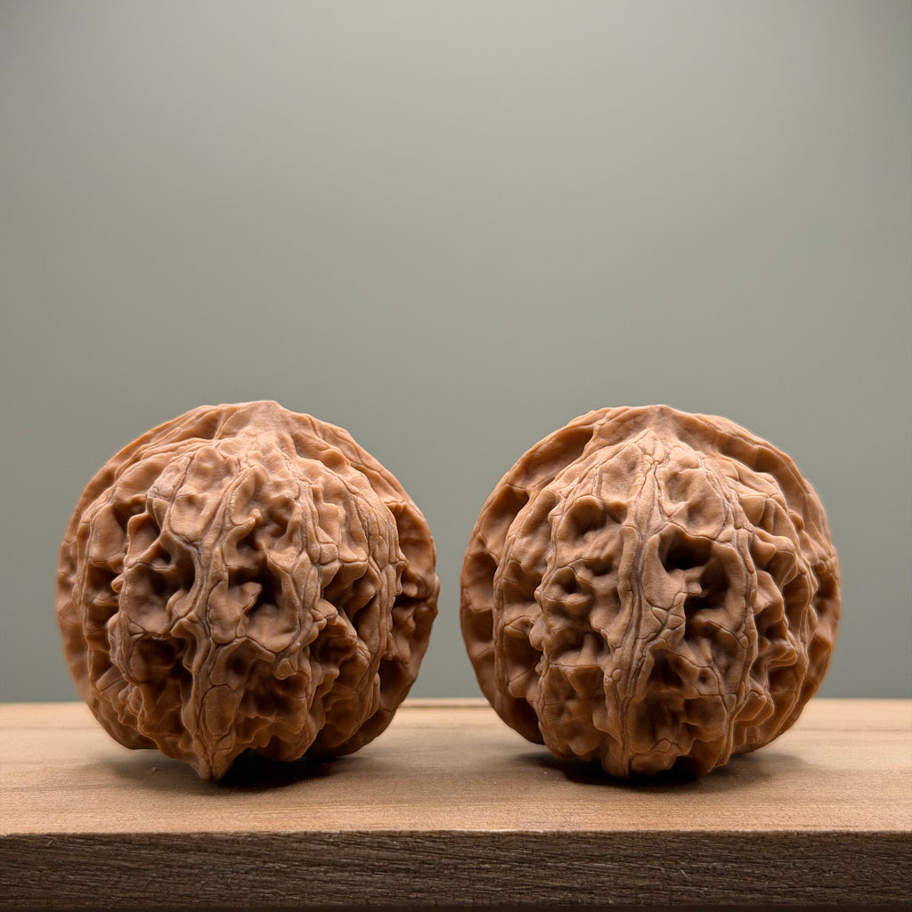 Apple Orchard Lion Head Wenwan Walnut