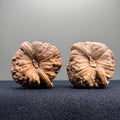 Pumpkin Wenwan Walnut · 43mm · Natural · Select Ritual