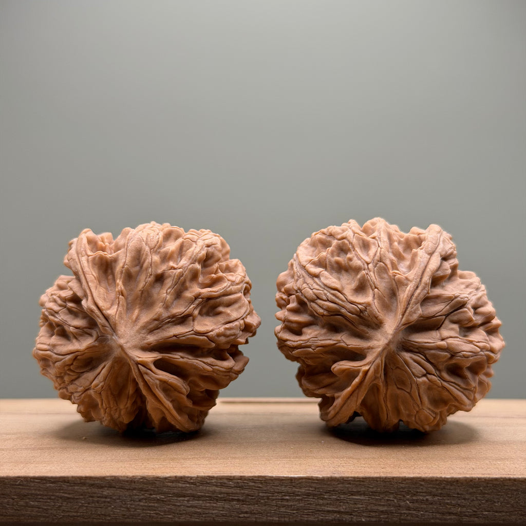 Apple Orchard Lion Head Wenwan Walnut