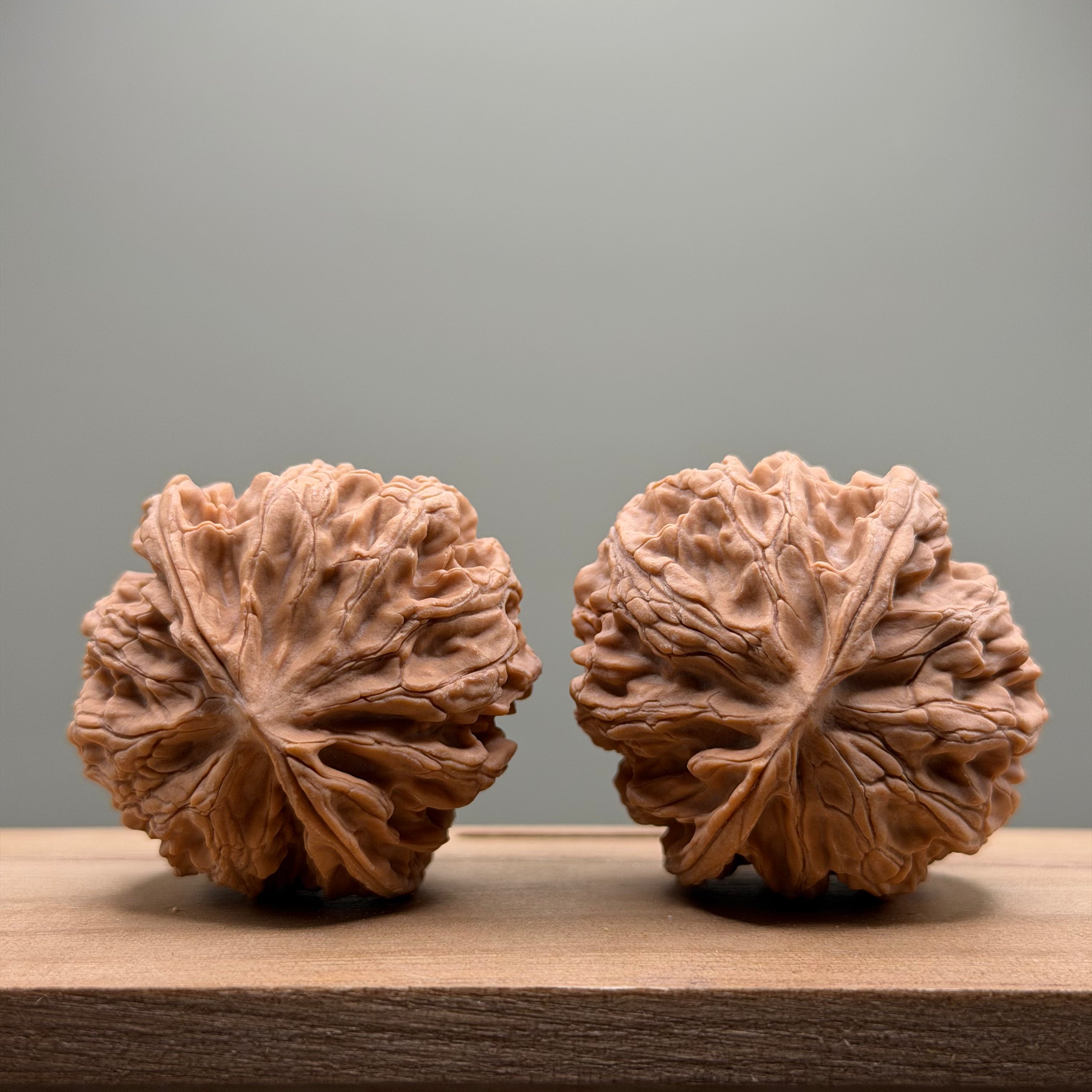 Apple Orchard Lion Head Wenwan Walnut