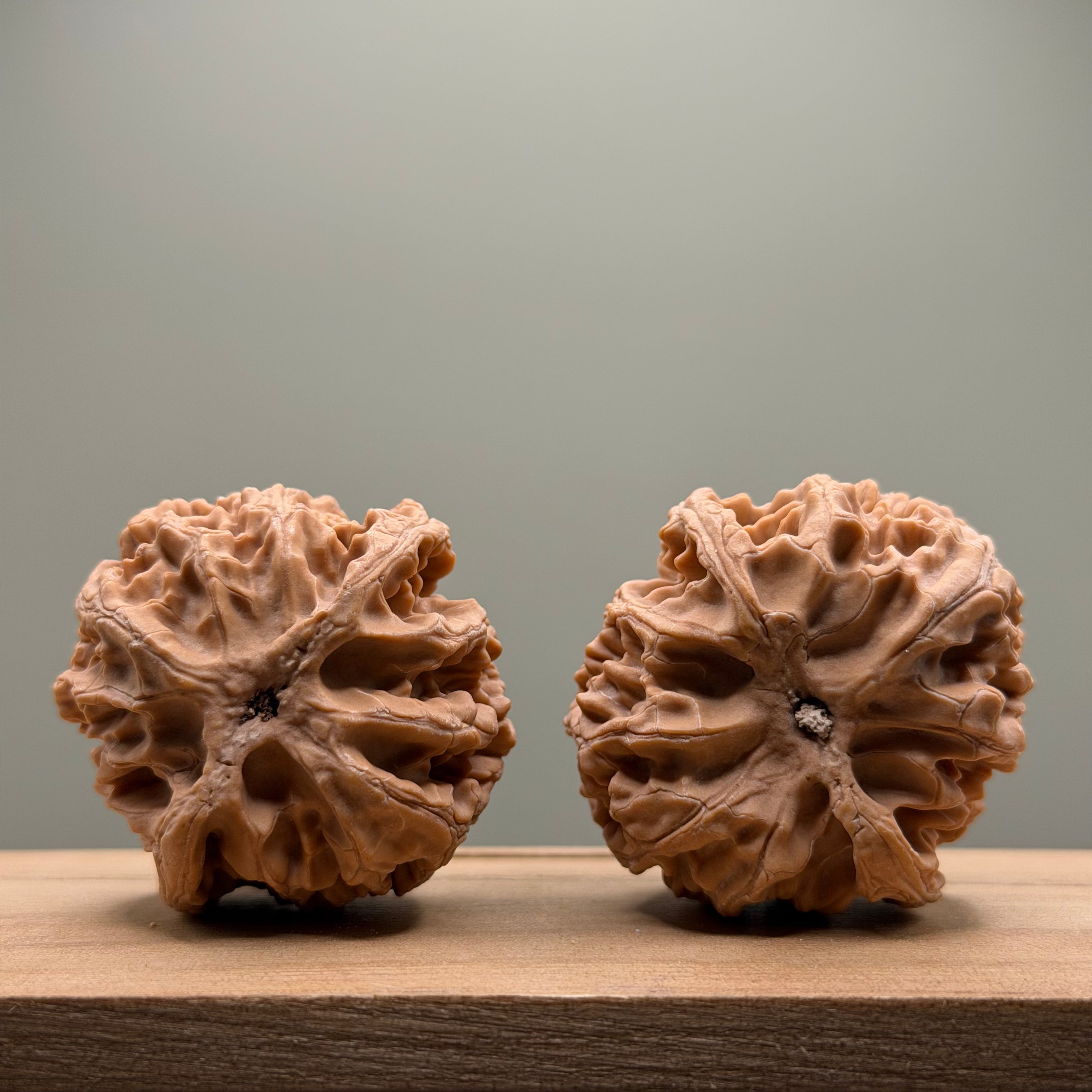 Apple Orchard Lion Head Wenwan Walnut