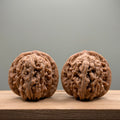 Four Towers Wenwan Walnut
