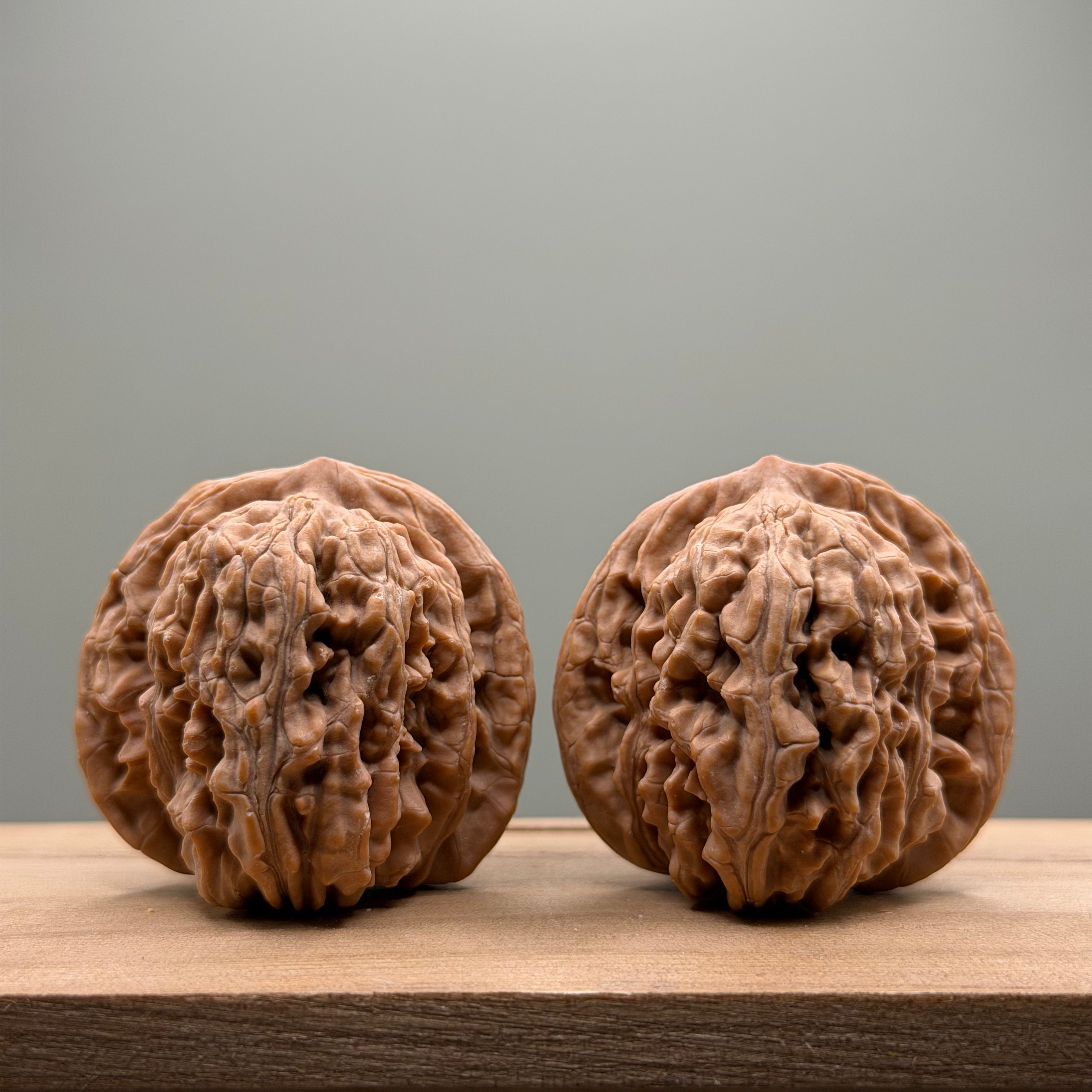 Four Towers Wenwan Walnut