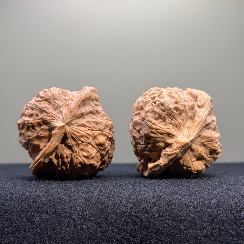 Pumpkin Wenwan Walnut · 43mm · Natural · Select Ritual
