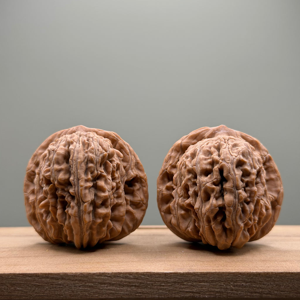 Four Towers Wenwan Walnut