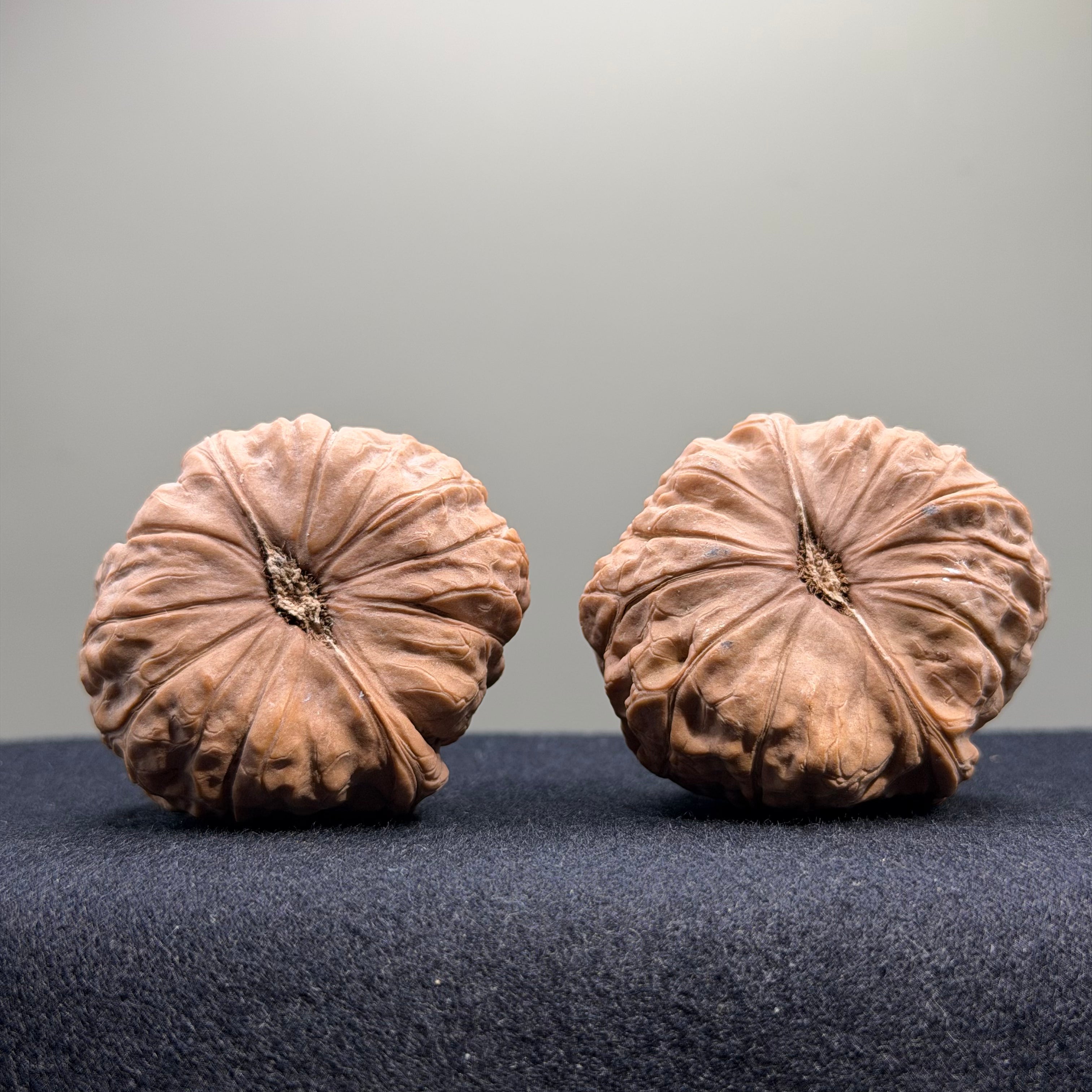 Pumpkin Wenwan Walnut · 42mm · Natural · Select Ritual