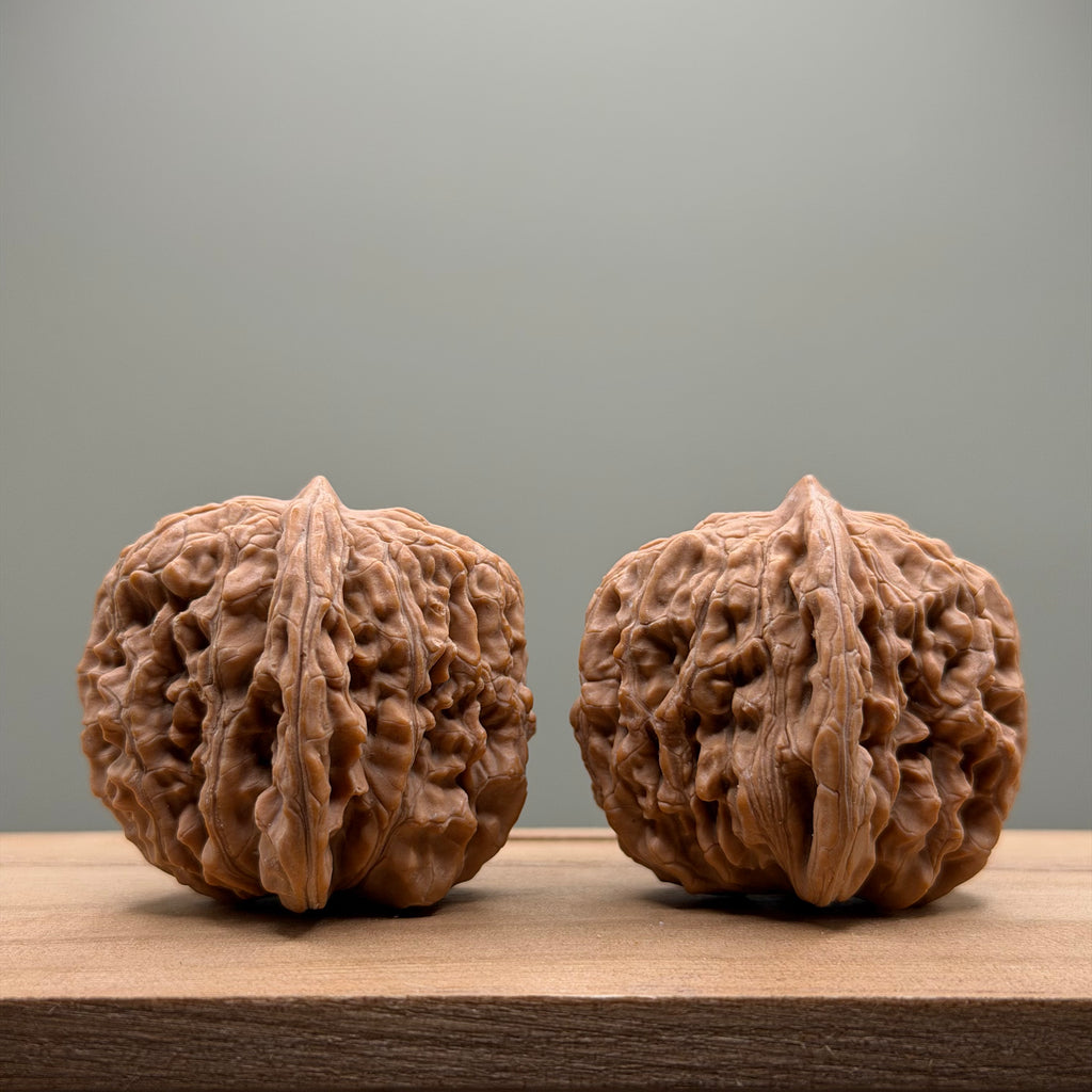 Four Towers Wenwan Walnut