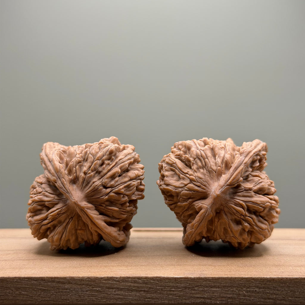Four Towers Wenwan Walnut