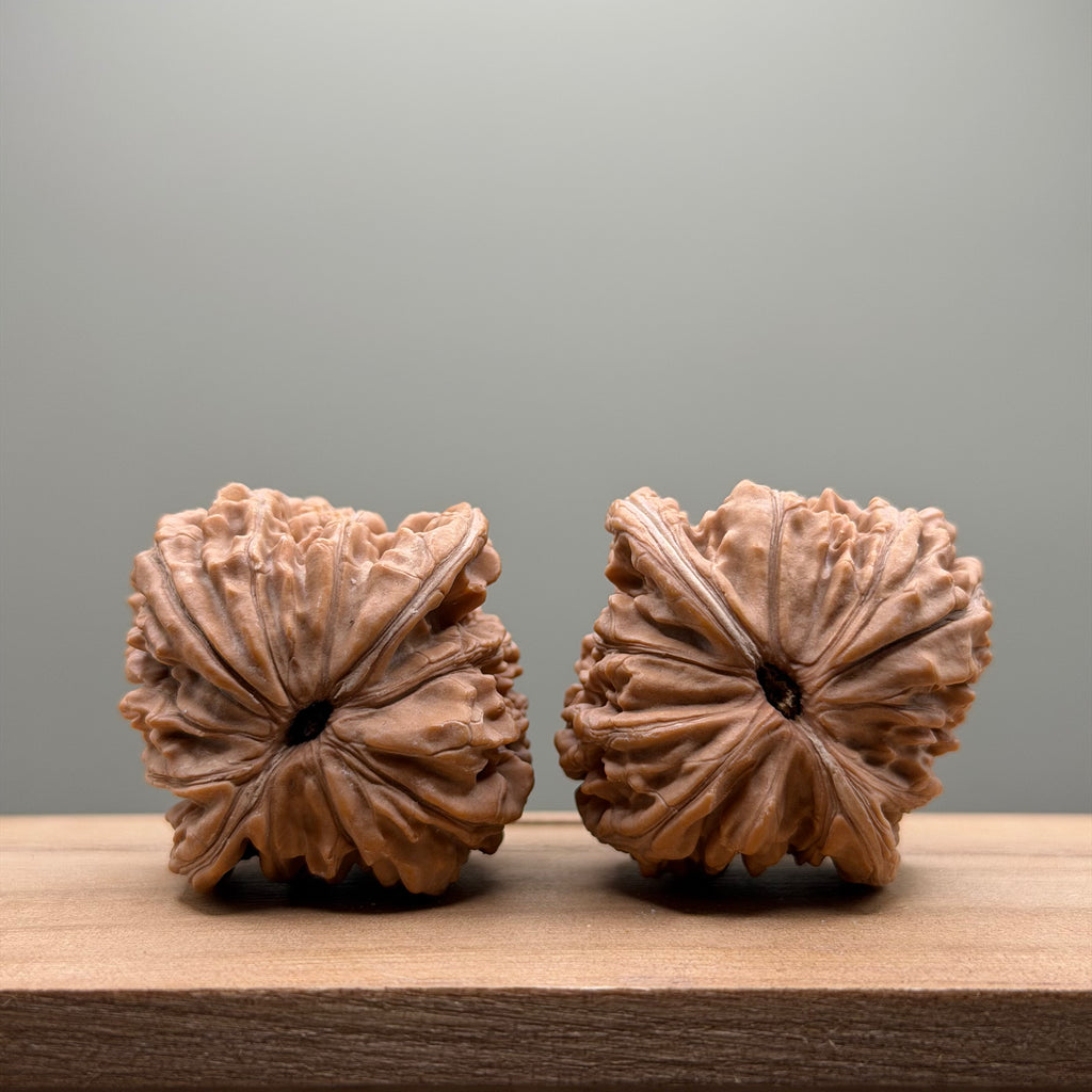 Four Towers Wenwan Walnut