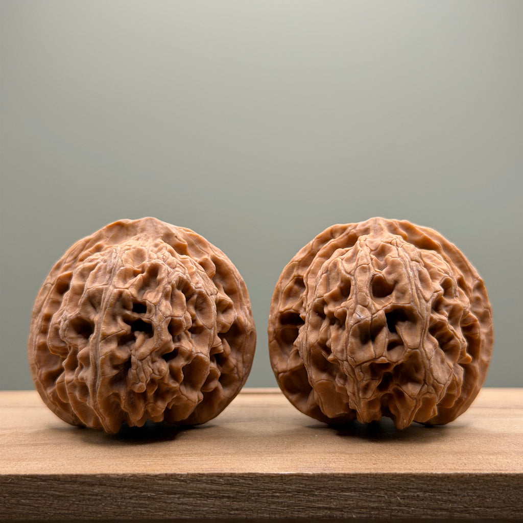 Apple Orchard Lion Head Wenwan Walnut