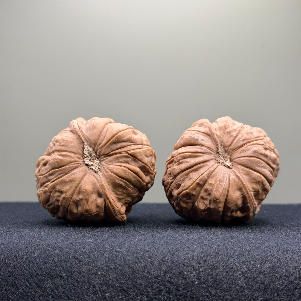 Pumpkin Wenwan Walnut · 40mm · Natural · Select Ritual