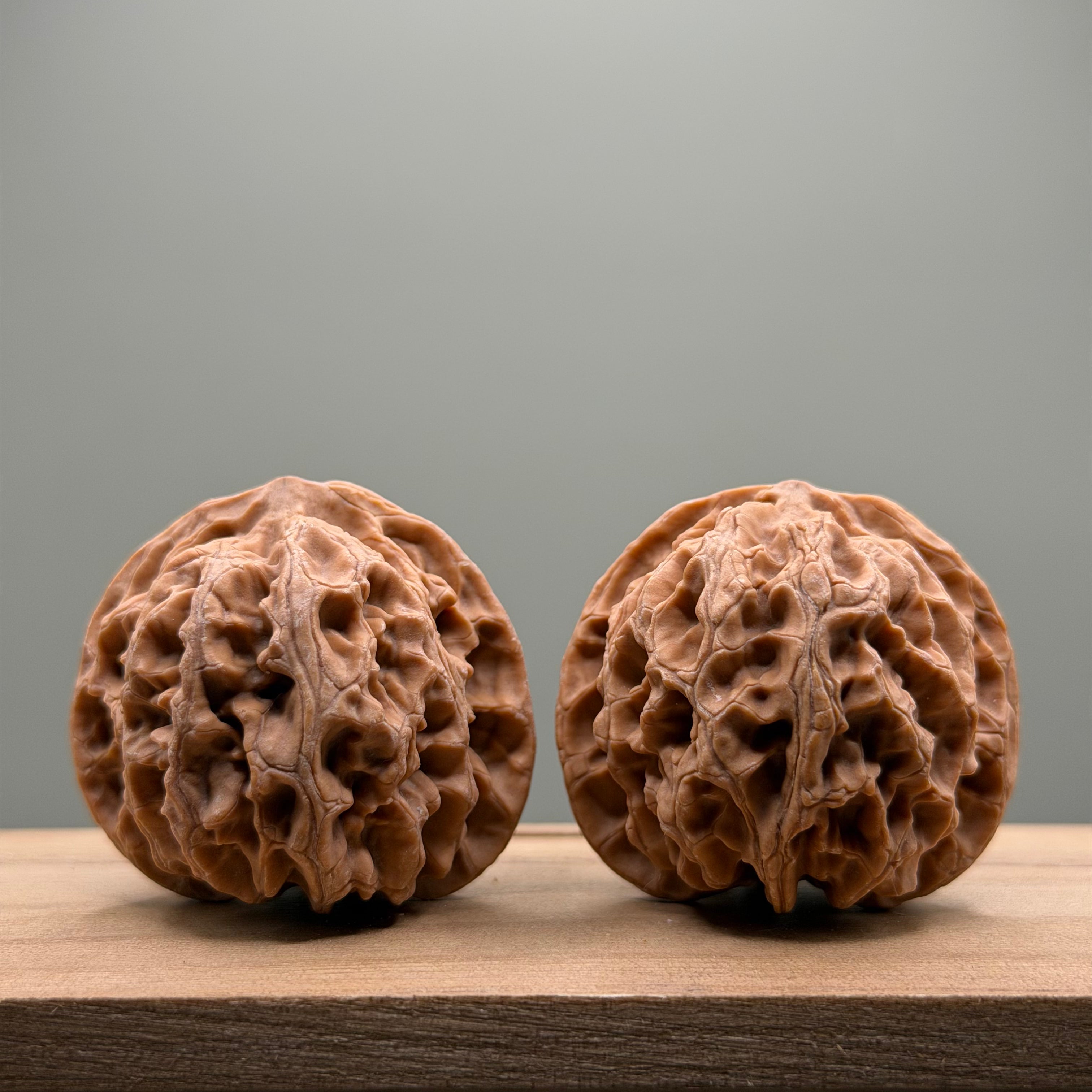 Apple Orchard Lion Head Wenwan Walnut