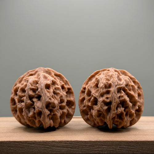 Apple Orchard Lion Head Wenwan Walnut