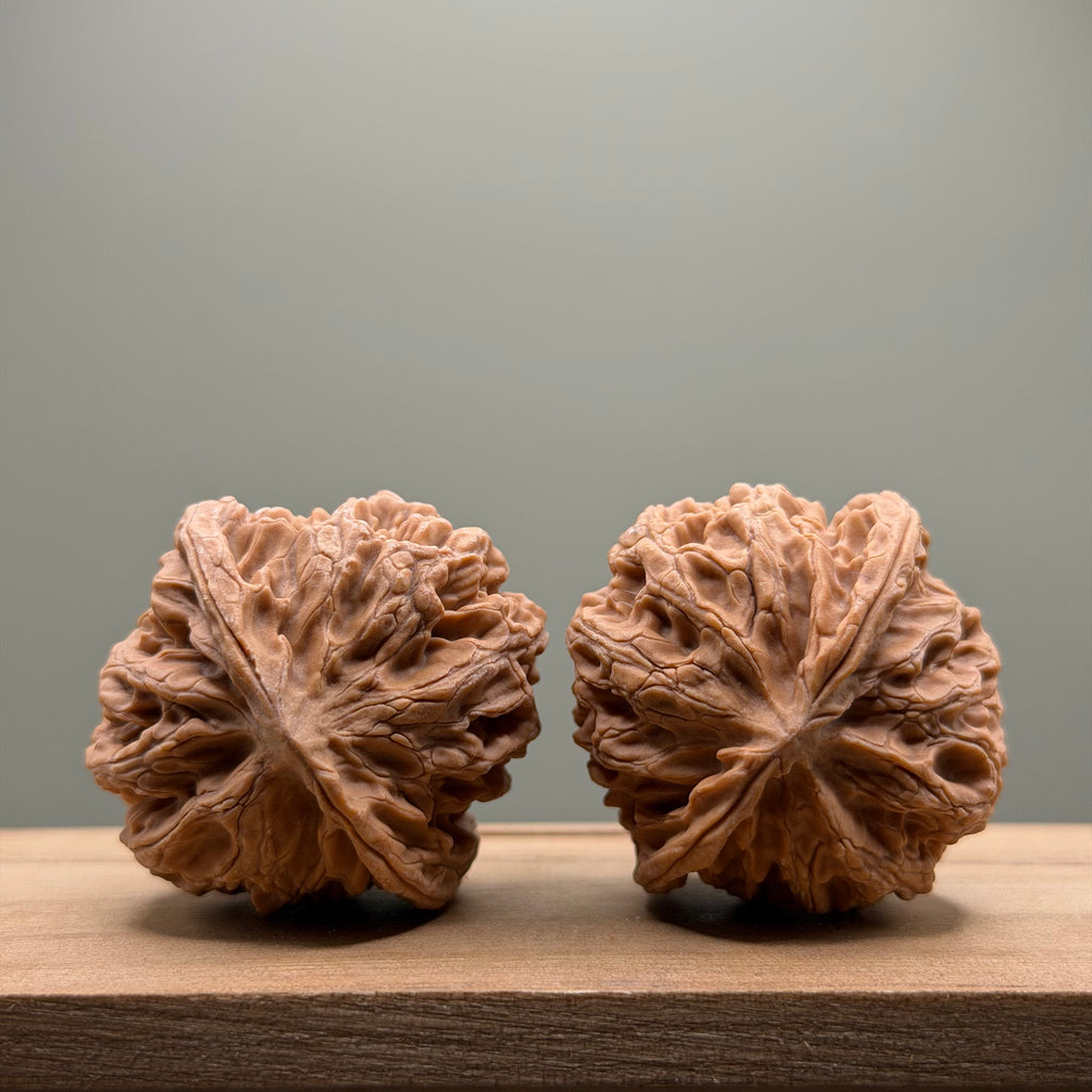 Apple Orchard Lion Head Wenwan Walnut