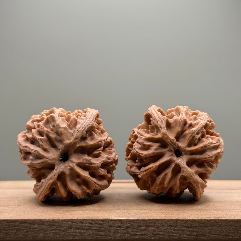 Apple Orchard Lion Head Wenwan Walnut