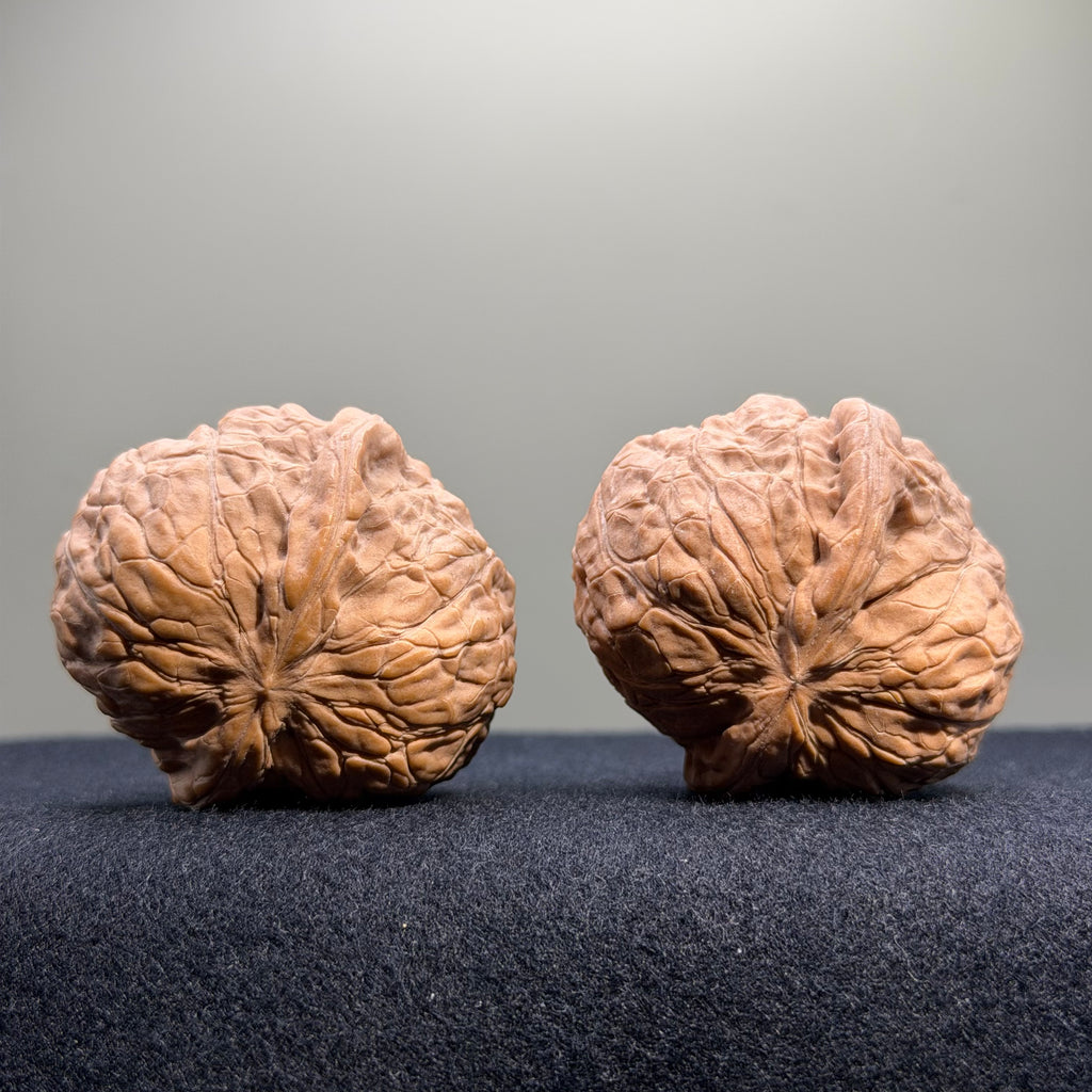 Pumpkin Wenwan Walnut · 40mm · Natural · Select Ritual