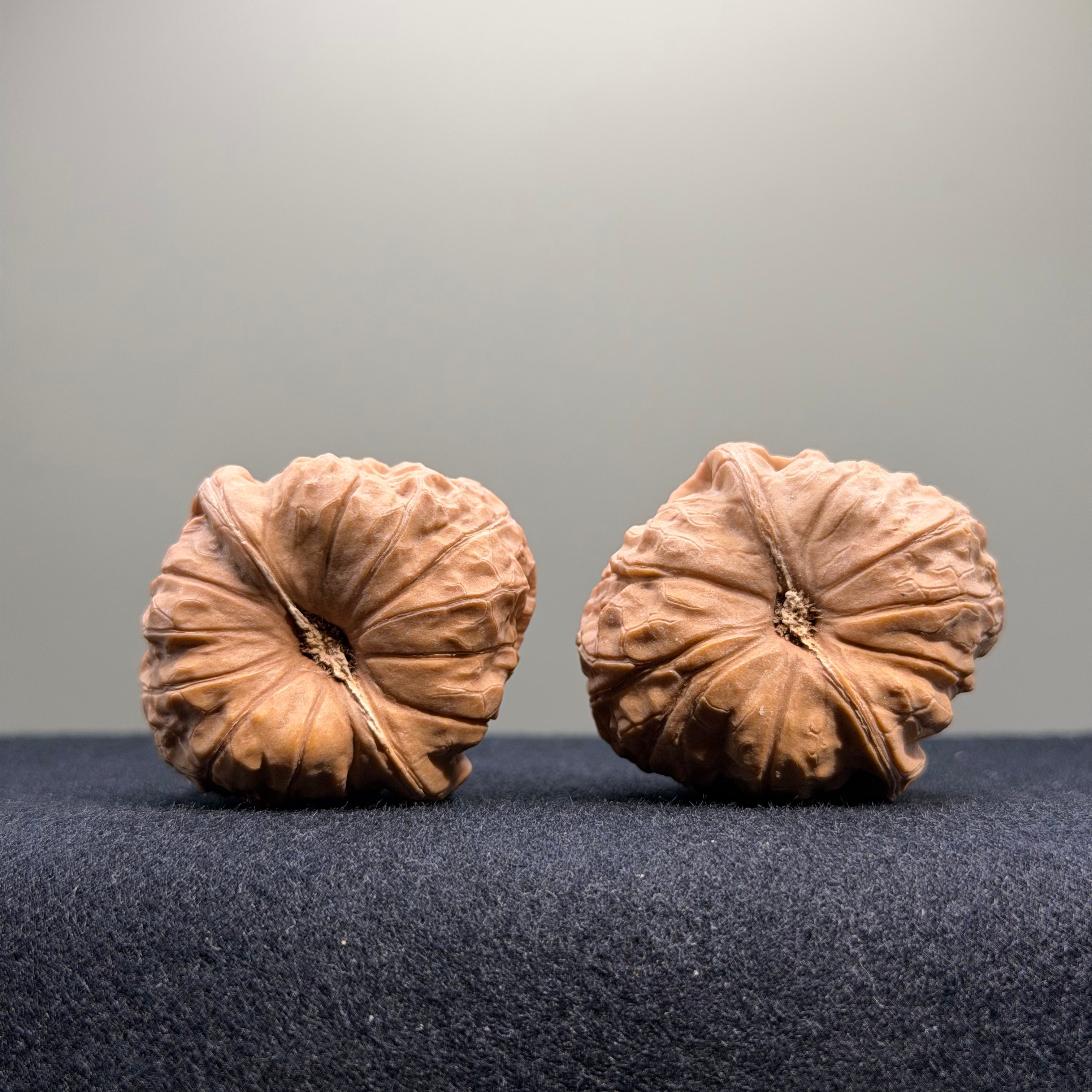 Pumpkin Wenwan Walnut · 36mm · Natural · Select Ritual