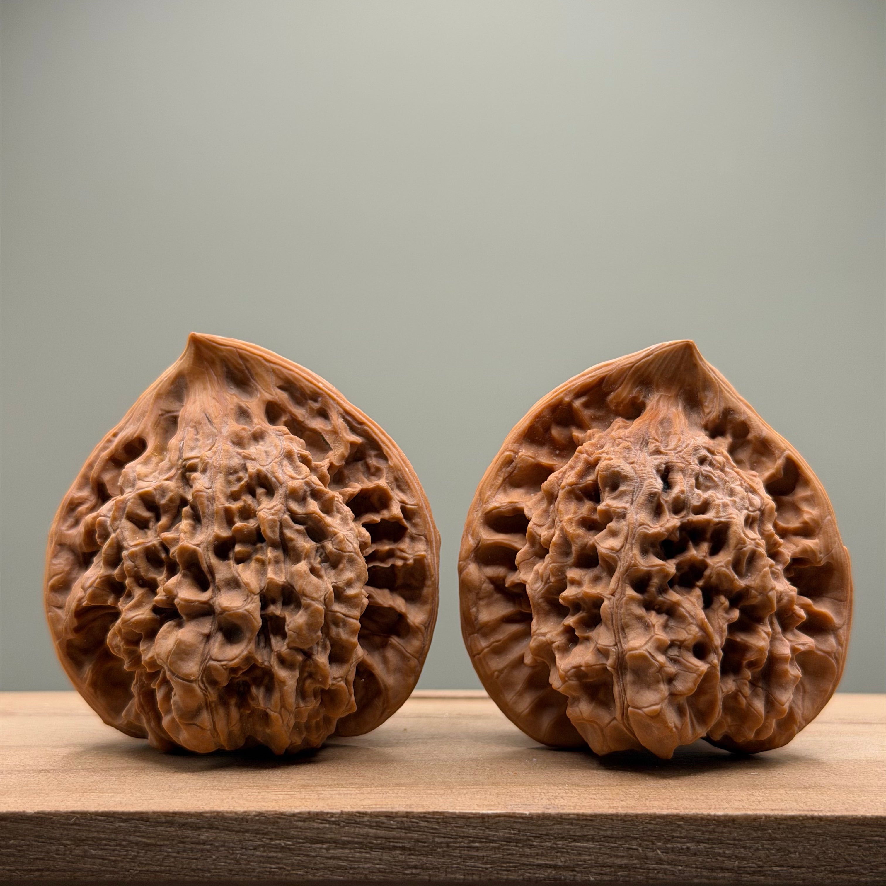Snake Head Wenwan Walnut