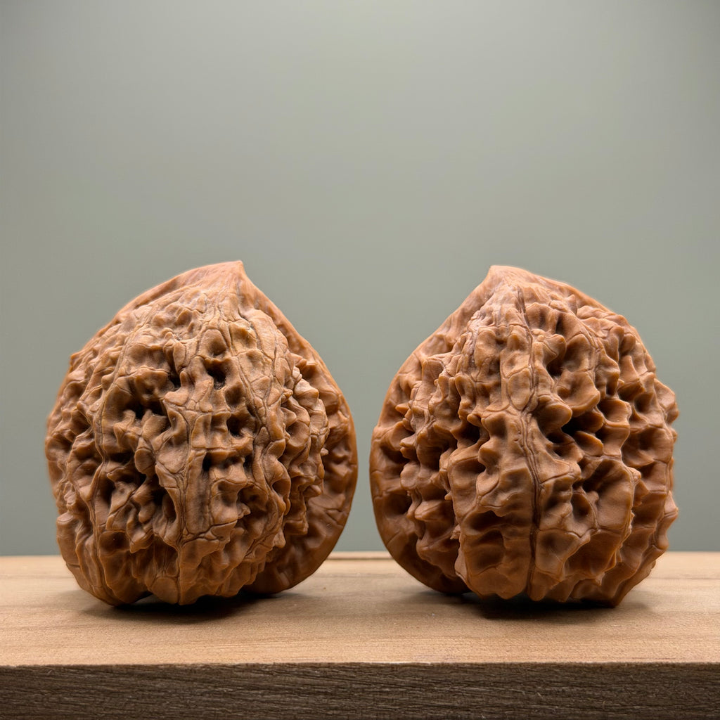 Snake Head Wenwan Walnut