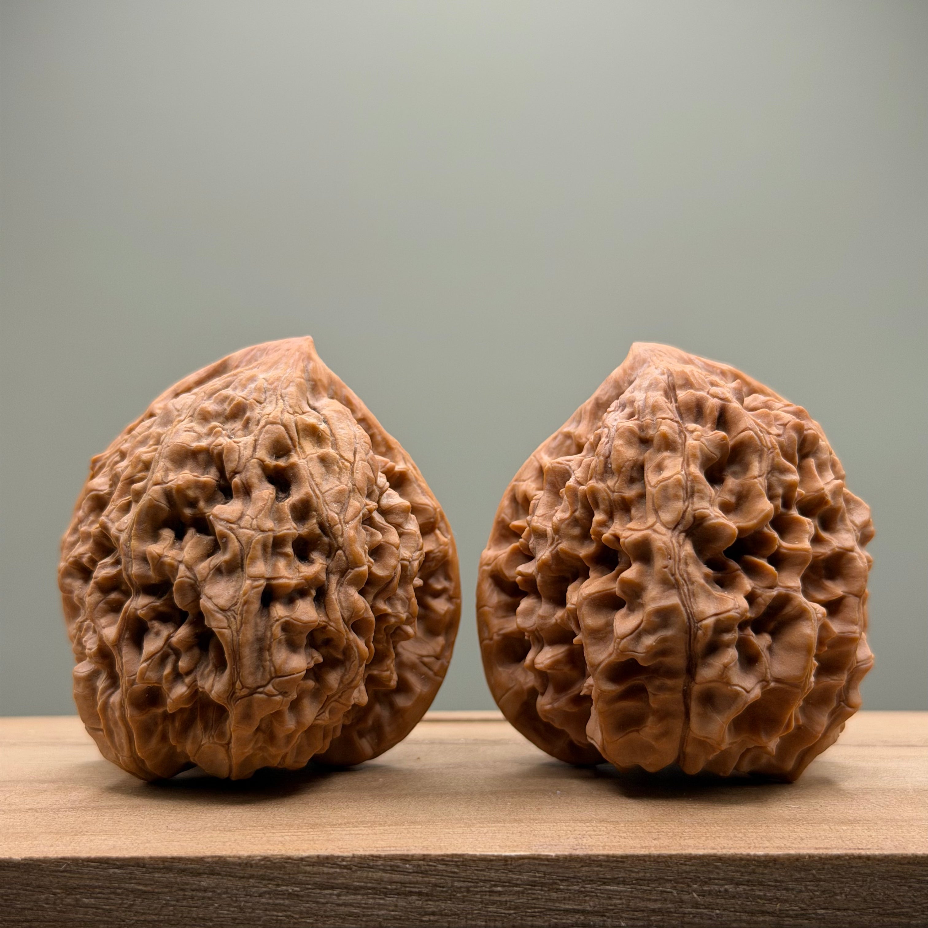 Snake Head Wenwan Walnut