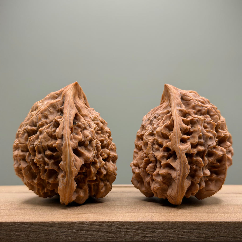 Snake Head Wenwan Walnut