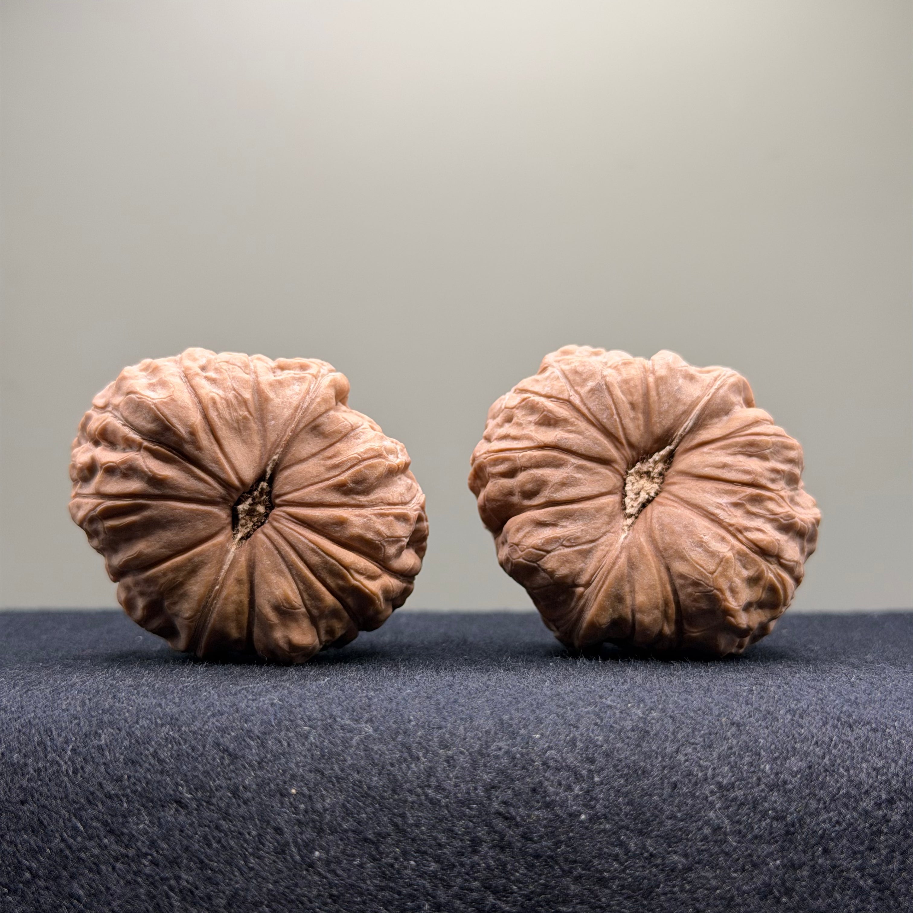 Pumpkin Wenwan Walnut · 39mm · Natural · Select Ritual