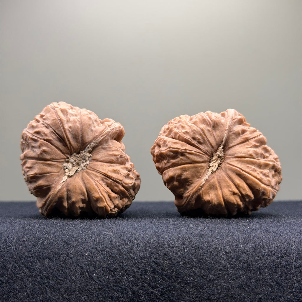Pumpkin Wenwan Walnut · 42mm · Natural · Select Ritual