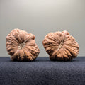 Pumpkin Wenwan Walnut · 42mm · Natural · Select Ritual