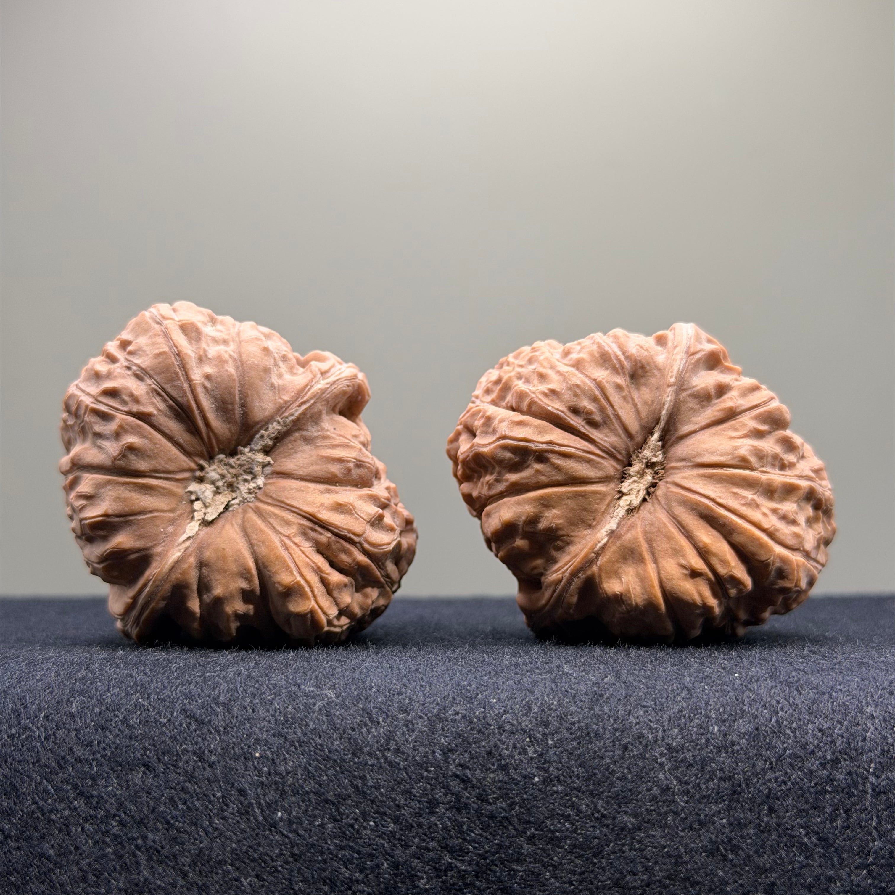 Pumpkin Wenwan Walnut · 42mm · Natural · Select Ritual